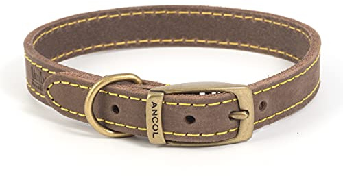 Ancol Timberwolf Bonded Thread Leather Dog Collar - Sable - Premium Bridle Leather with Antique Gold Buckle - Water and Dirt Resistant - 45-54cm Size 6