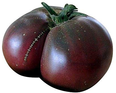 Tomate 'Brandywine Black' 10 Graines '' Tomate Super Aromatique ''