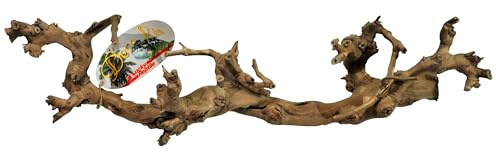 Lucky Reptile vinstockar, storlek: medium