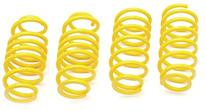 ST 28280309 Lowering Spring