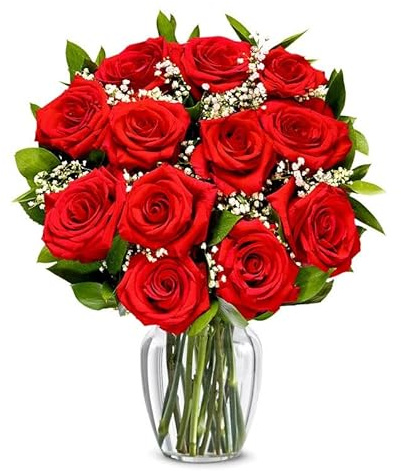 From You Flowers - One Dozen Long Stemmed Red Roses with Glass Vase | Fresh Flower Bouquets for Birthday, Anniversary, Get Well or Celebration