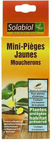 SOLABIOL Mini-Pièges Jaunes Moucherons Discret pour Plantes D'Intérieur - 8 x 2 x 23 cm - SOPIFLOR