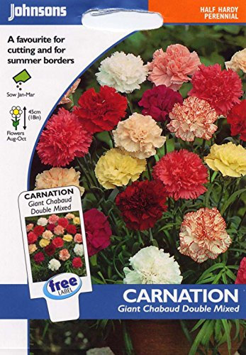Johnsons Seeds - Pictorial Pack - Flower - Carnation Giant Chabaud Double Mixed - 150 Seeds