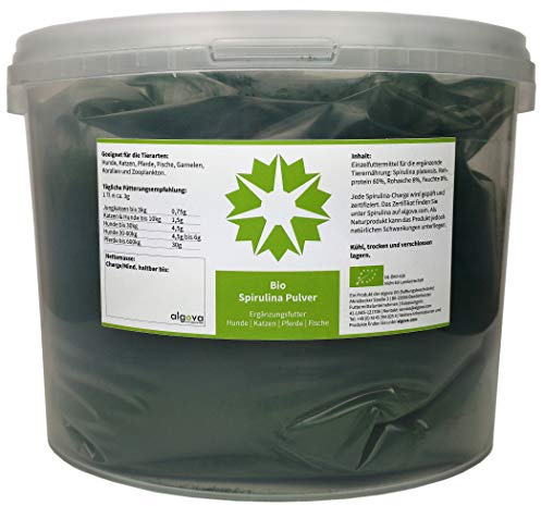 Puro spirulina polvo - Forro adicional para peces, caballos, barf - algova