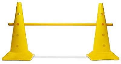 SPORTIKEL24 Kegel-Hürde 50 mit 100 cm Stangen – Gelb – Steckhürden für Agility, Kinder & Teamsport – Parcours-Training mit ø 25 mm Stangen