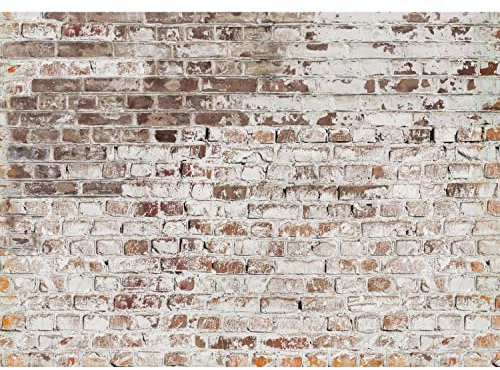 Runa Art Papel tapiz fotográfico 396 x 280 cm Pared de piedra | Lana Decoración De Pared Sala Cuarto | Fabricación alemana | blanco Marrón 9083012c