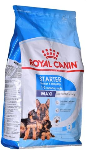 Royal Canin Maxi Starter Mother and Babydog 4 kg