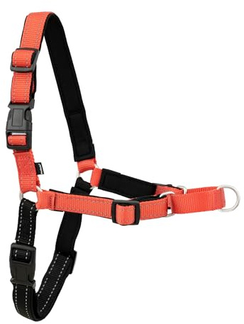 PetSafe Easy Walk Deluxe Dog Harness, No Pull Dog Harness – Perfect for Leash & Harness Training – Stops Pets from Pulling and Choking on Walks – Medium/Large, Rose