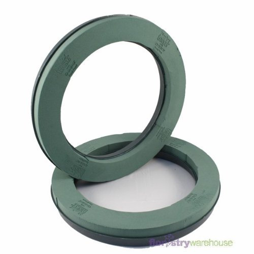 FloristryWarehouse Oasis Naylorbase Wreath Rings 16 Inch x 2 Plastic backed