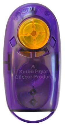 Karen Pryor Jewel i-Click Clicker - das Original Klicker für Hunde und Katzen (transluzent lila/Purple)