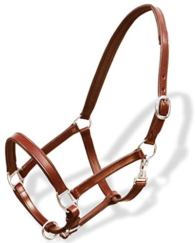 vidaXL Halfter Echtleder Lederhalfter Stallhalfter Weidehalfter Pferde Cob VB