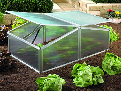 Vitavia trading gaia-modèle : xS, pic, aluminium 4 mm, surface : env. 0,6 m² avec 2 fenêtres de toit, sockelmaß : 0,60 x 1,00 m