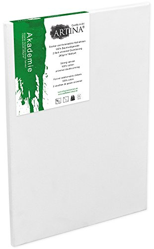 Artina Academy tom duk 70 x 120 cm inramad försträckt dubbelgrundad platt konstnärsduk för målning 27 x 47 tum