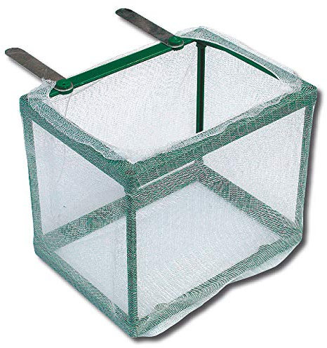 Amtra Wave Isoloir à Alevin en Filet pour Aquariophilie