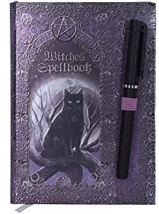 Nemesis Now Zauberbuch mit Stift-Tagebuch, Hexen, 18 cm, Violett