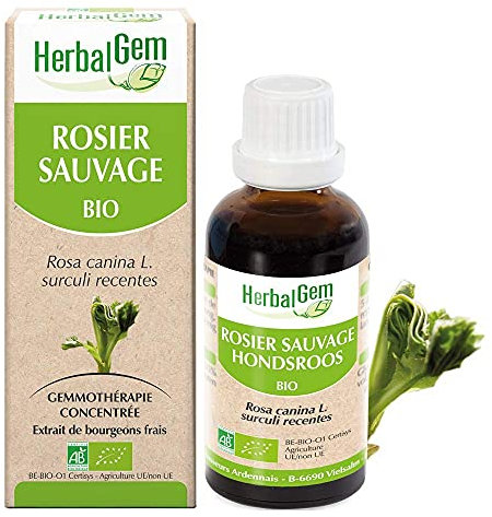 HERBALGEM - Macérât-Mère - Rosier Sauvage Bio - Complément Alimentaire Gemmothérapie Concentrée - Extrait De Bourgeon Frais - Pour Défenses Naturelles - Vegan - 30 ml