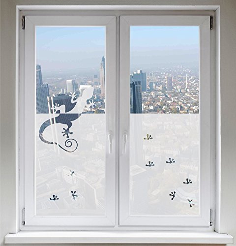 Indigos UG Schermo parasole Finestra immagine Opacizzante Custodia Gecko satinato opaco - 1000 mm larghezza x 500 mm altezza - anche con larghezza individuale