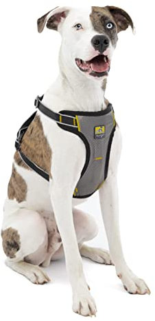 Kurgo Impact Dog Car Harness, Crash Tested, Integrates with Car Seatbelt System, Lightweight, Medium-Black/Charcoal Grey
