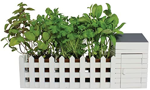 Oliphant Indoor Allotment Gift Set Herb Garden