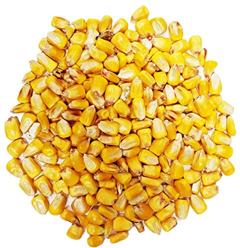 ~4 Lbs Whole Feed Corn