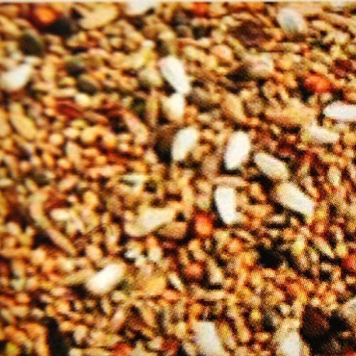 2,5 kg Agapornidenfutter, Vogelfutter für Zwergpapagein, Futter