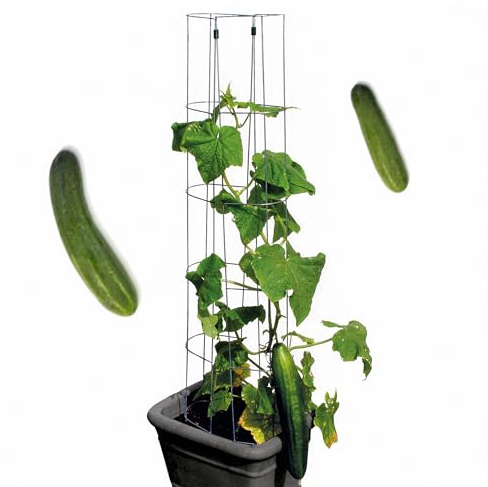 bellissa – Gurken-Rankhilfe aus Stahl einzeln 120cm verzinkt – Gurkenturm Rankgitter für Tomaten, Gurken etc. – Stabile Pflanzenstütze für Garten, Hochbeet & Töpfe – Wetterfest & wiederverwendbar