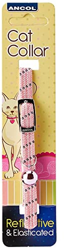 Collier pour Chat élastique et réfléchissant