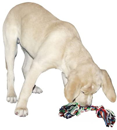 Kerbl Pet 83470 Zahnknoten aus Baumwolle, 40 g