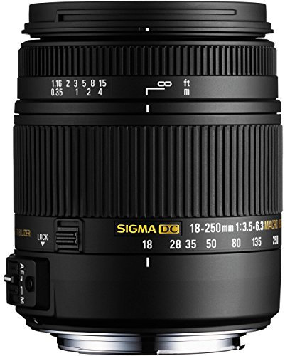 Sigma 18-250mm F3,5-6,3 DC Macro OS HSM Objektiv (62 mm Filtergewinde) für Sony A-Objektivbajonett