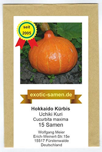 Hokkaido Kürbis - Uchiki Kuri - tolle Züchtung - 15 Samen