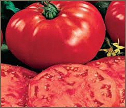 25 semillas gigantes !! Los tomates beefsteak !! Enorme y muy bien elaborada