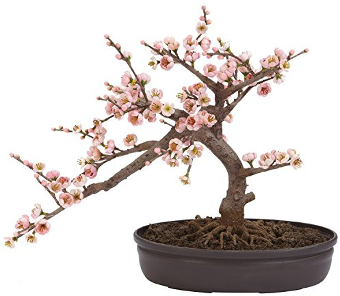 Nearly Natural Cherry Blossom Bonsai Silk Tree, Pink