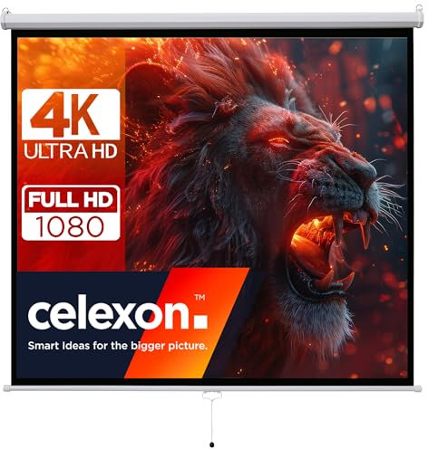 celexon Basic Rollo-Leinwand 135 | 240x240 cm 1:1 | ausziehbare Full-HD 4K Beamer-Leinwand für Heimkino oder Büro-Präsentationen | Projektionsleinwand geeignet zur Deckenmontage oder Wandmontage