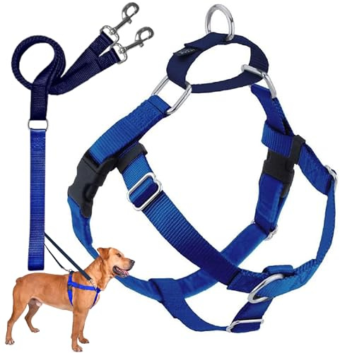 2 Hounds Design Freedom No Pull Dog Harness and Leash, 1 MD, Royal Blue