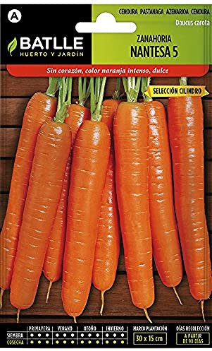 Semillas Batlle Carottes de Nantes 5 - Cylindre