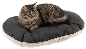 Ferplast - Cama para Perros y Gatos - Cojín para Perros pequeños - Colchón para Perros - Colchoneta para perreras y Coches - Relax, 55 x 36 CM, Beige
