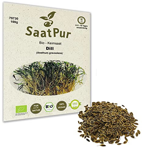 100g BIO Keimsprossen Dill Kressesamen Mikrogrün Mikrogreens Sprossen Grünkraut Superfood