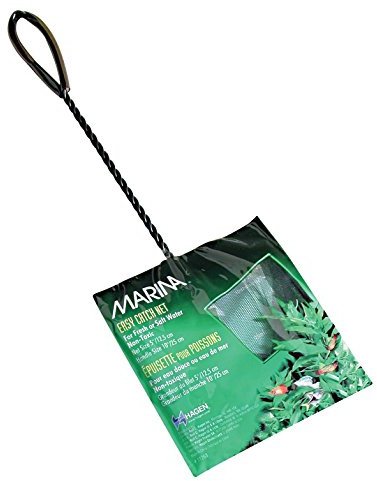 Marina 5-Inch Black Coarse Nylon with 10-Inch Handle