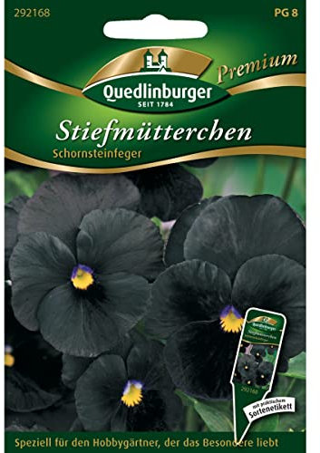 Stiefmütterchen, Schornsteinfeger