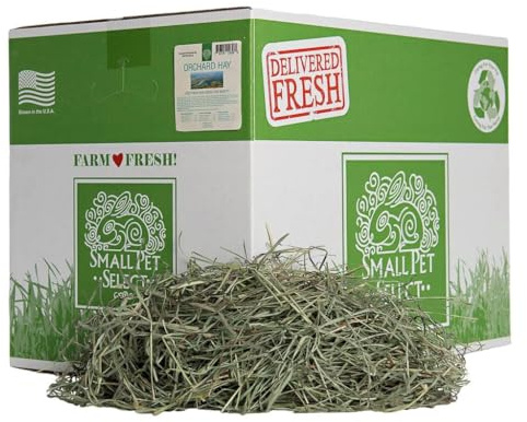 Small Pet Select Orchard Grass Hay, 20lb (9.07kgs) | For Rabbits, Guinea Pigs, Chinchillas & Small Animals, Premium Natural Hay, Grown in USA