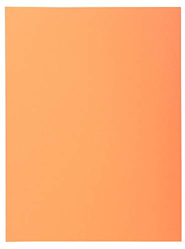 EXACOMPTA Pt 50 chem. 2 rabats SUPER 220 orange