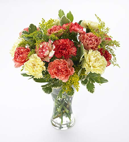 Sendabunch Luxury Mixed Carnation Bouquet - 18 Fresh Stems with Free Box of Belgian Chocolates & Gift Message Card - UK Flower Delivery for Valentines Day, Birthday, Mother’s Day & Special Occasions