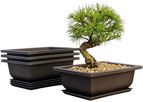Bonsai träningskrukor fuktighetsbrickor – inbyggt nät, sex tum stora planterare + tillverkade av hållbart okrossbart polyharts, set med 3 grytset