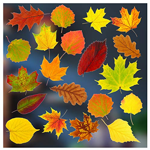 Stickers 4 - Autumn Decorations - 20 Static Cling Double Sided Window Stickers - Photo Realistic Autumn Leaves Decor