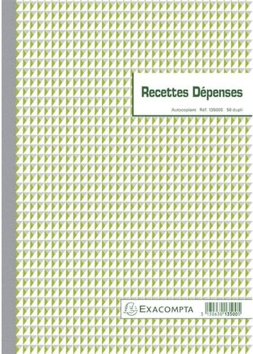 EXACOMPTA Manifold Recettes-Dépenses 297 x 210 mm 50 feuillets dupli