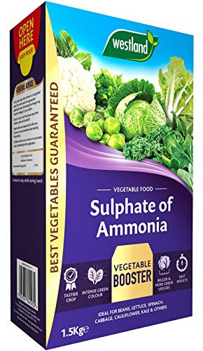 Westland Sulphate of Ammonia (Vegetable Crop Food), 1.5 kg