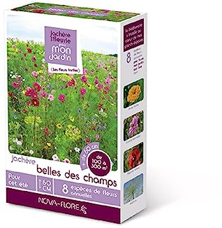 Novaflore - Prairies fleuries : jachères belle des champs 100 m2