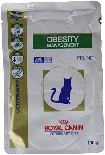 Royal Canin,Cibo per gatti, dieta veterinaria canina, Obesity Management, 12 x 100g