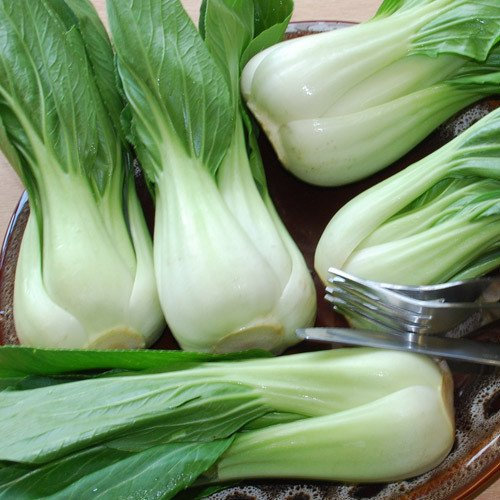 Plant World Seeds - Cabbage (Chinese) White Pak Choi Seeds (Vegetable Seeds)