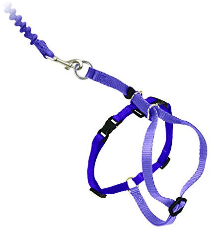 PetSafe Come with Me Kitty Geschirr und Bungee Katzenleine, Größe M, Lila